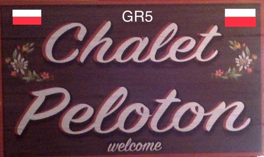 Chalet Peloton Abondance Екстериор снимка